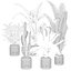 20 Photorealistic Flowers for Interiors - set 121 128 134 141