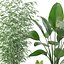 20 Photorealistic Flowers for Interiors - set 121 128 134 141