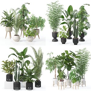 20 Photorealistic Flowers for Interiors - set 121 128 134 141