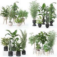 20 Photorealistic Flowers for Interiors - set 121 128 134 141