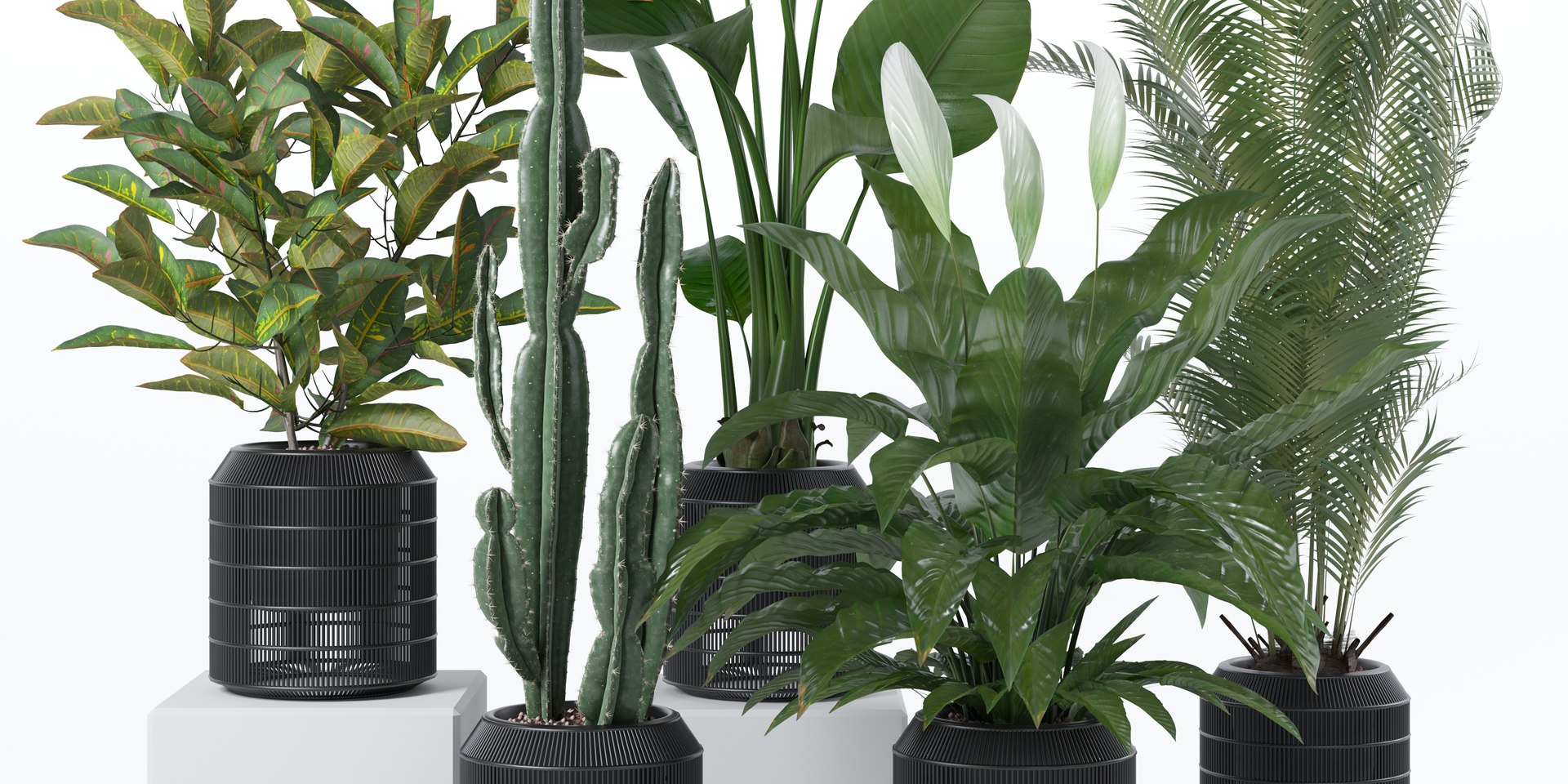 20 Photorealistic Flowers for Interiors - set 121 128 134 141 3D model https://p.turbosquid.com/ts-thumb/Kk/crizFh/Lq/1/jpg/1664967879/1920x1080/fit_q87/9e2978838a7f7f155ee25a2f2d53c73e51737186/1.jpg