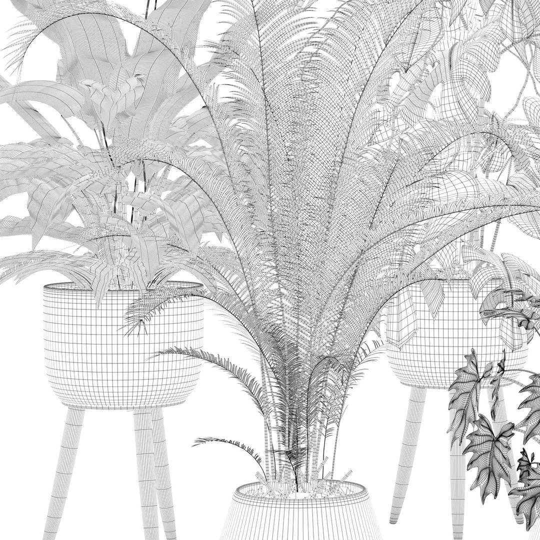 20 Photorealistic Flowers for Interiors - set 121 128 134 141 3D model https://p.turbosquid.com/ts-thumb/Kk/crizFh/kE/e/jpg/1666175849/1920x1080/fit_q87/f7b9563f318f60b555ab8d4cc68f2f5819078b46/e.jpg