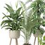 20 Photorealistic Flowers for Interiors - set 121 128 134 141