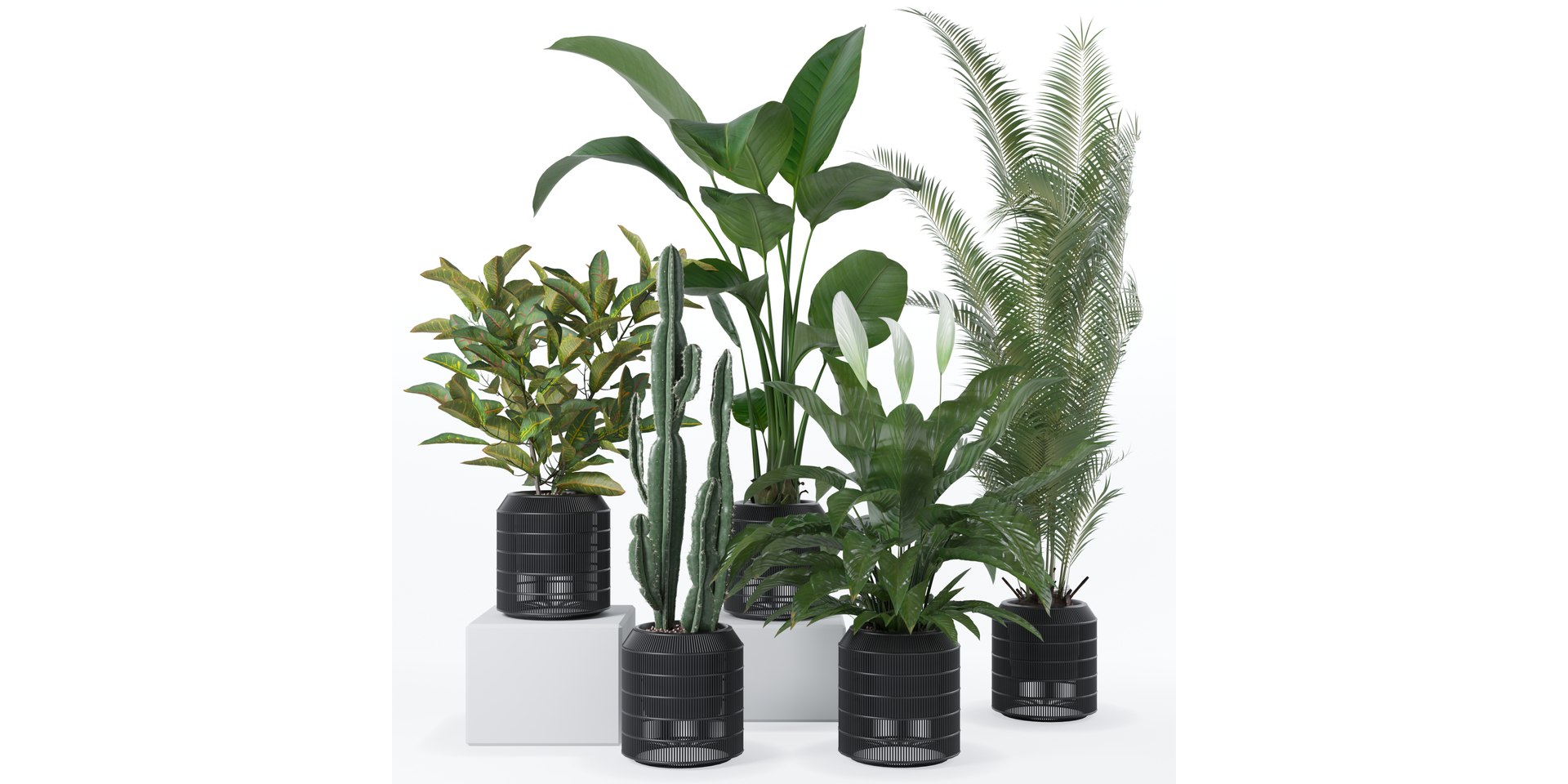 20 Photorealistic Flowers for Interiors - set 121 128 134 141 3D model https://p.turbosquid.com/ts-thumb/Kk/crizFh/ni/2/jpg/1664967877/1920x1080/fit_q87/8f67b5c59057b6dbf2f3d3d65c25aaeab98a6147/2.jpg