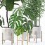 20 Photorealistic Flowers for Interiors - set 121 128 134 141