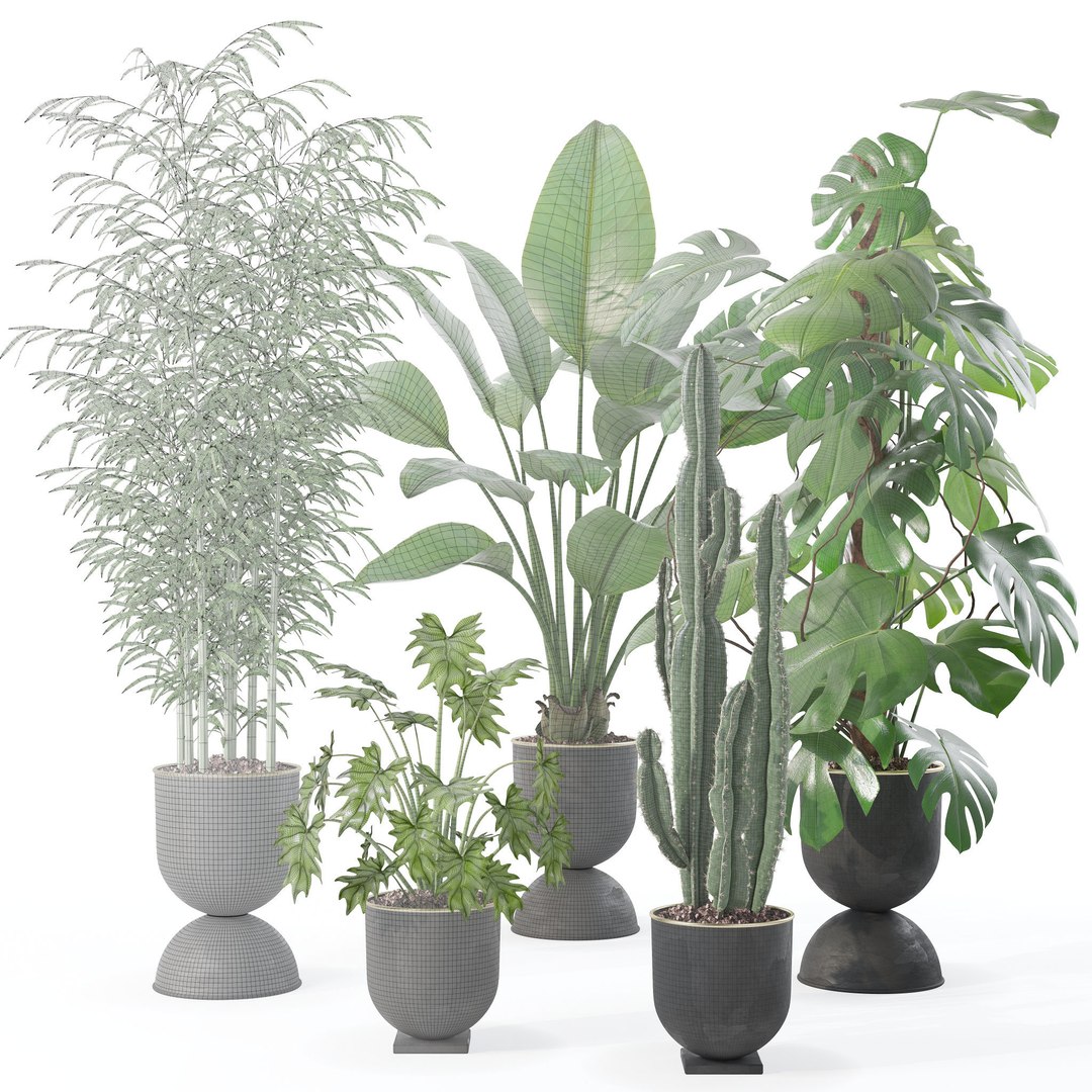 20 Photorealistic Flowers for Interiors - set 121 128 134 141 3D model https://p.turbosquid.com/ts-thumb/Kk/crizFh/pK/10/jpg/1666175870/1920x1080/fit_q87/2c973444328d089e6e3216dbd0fc42b4fc1b8cf9/10.jpg