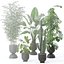 20 Photorealistic Flowers for Interiors - set 121 128 134 141