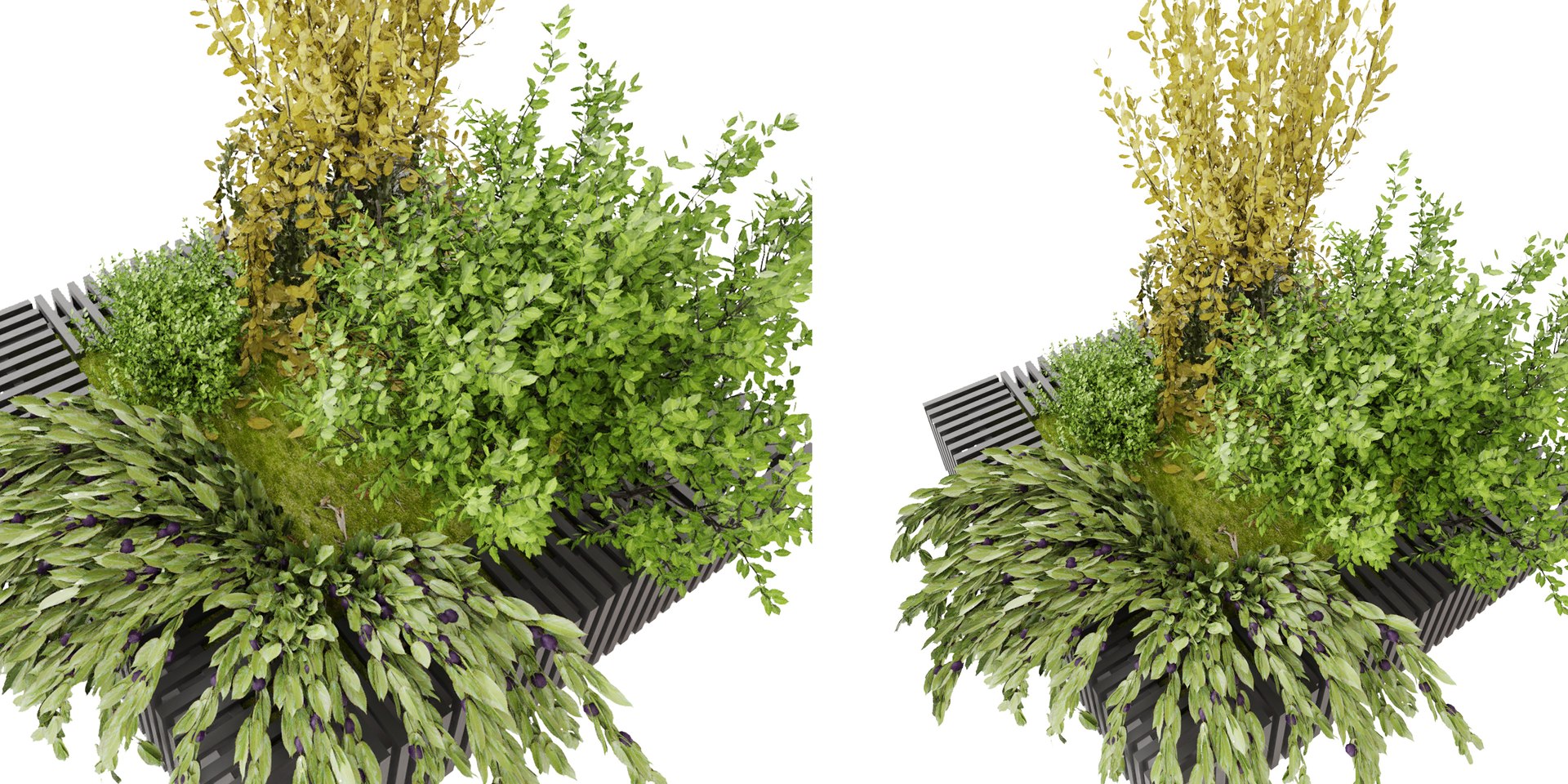 3D model Collection plant vol 23 - blender model https://p.turbosquid.com/ts-thumb/Kk/e92nhN/T6/2/jpg/1683560281/1920x1080/fit_q87/8a789d6f8059a9048178897835e097b189ff5fe2/2.jpg