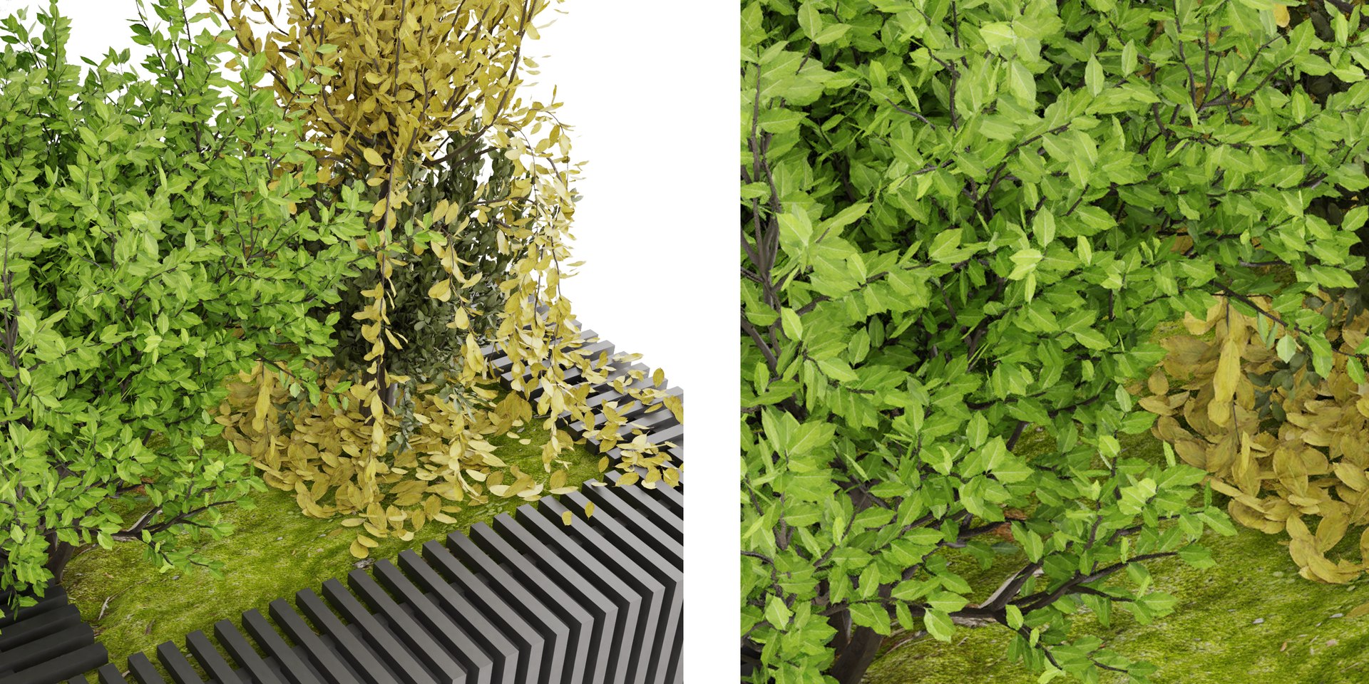 3D model Collection plant vol 23 - blender model https://p.turbosquid.com/ts-thumb/Kk/e92nhN/rS/5/jpg/1683560280/1920x1080/fit_q87/d7973225ff5717bf30411e2461a83be29b28d1b8/5.jpg
