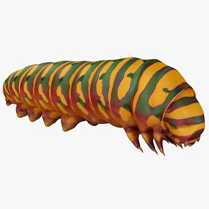 realistic caterpillars 03 3D
