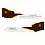 ボーイング747-400_UPS L115