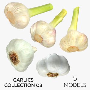 Garlics Collection 03 - 5 models model