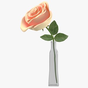 rose vase 3D model