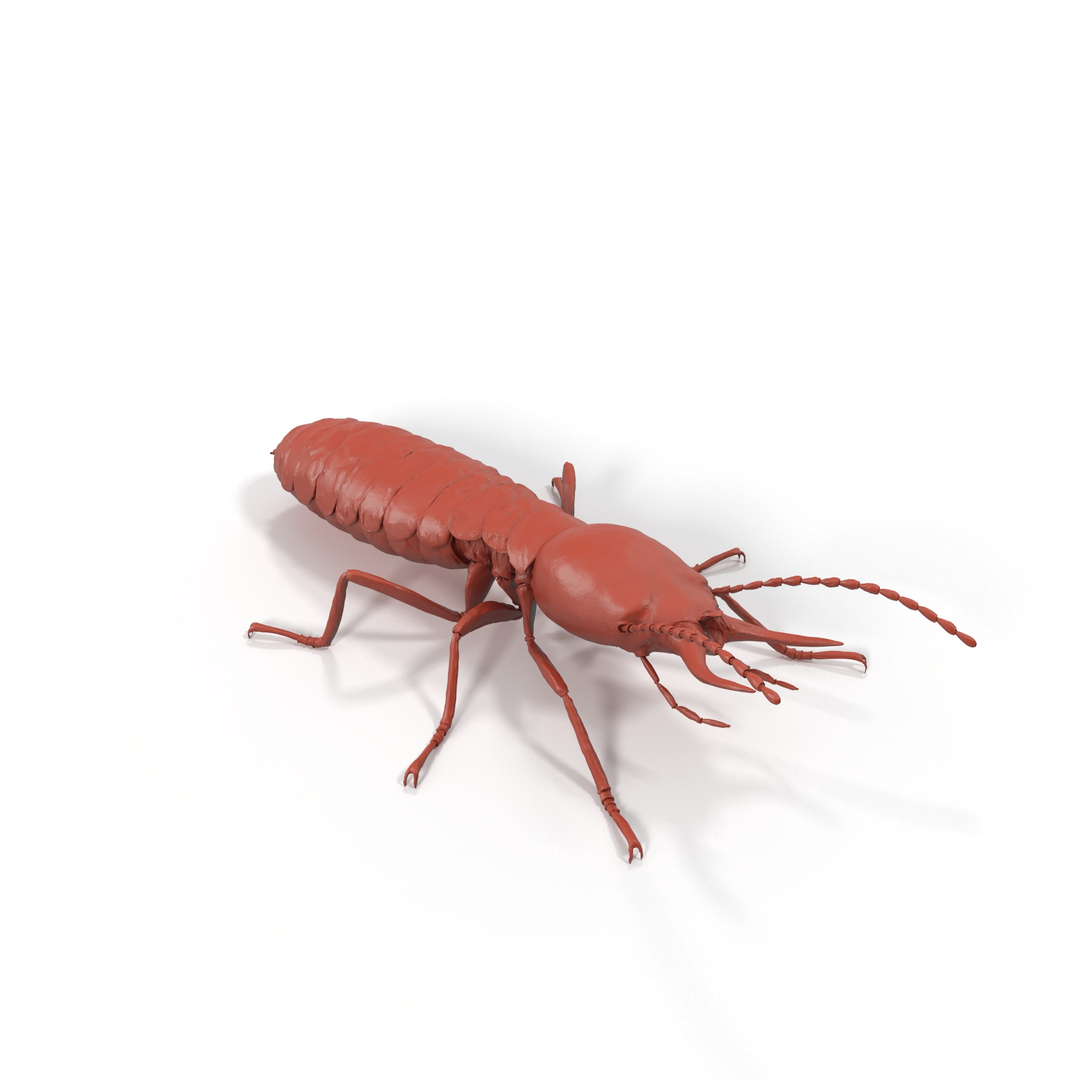 modelo 3d Termita en posición estática para impresión 3D - TurboSquid ...