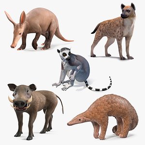 Rigged African Mammals Collection 2