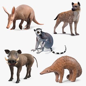 Rigged African Mammals Collection 2