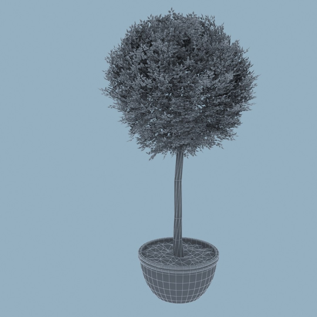 decoration shrub 3d model