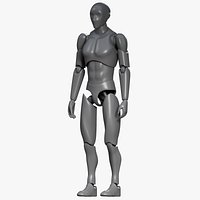 Male Articulated Action Figure