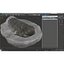 Trilobite Fossil