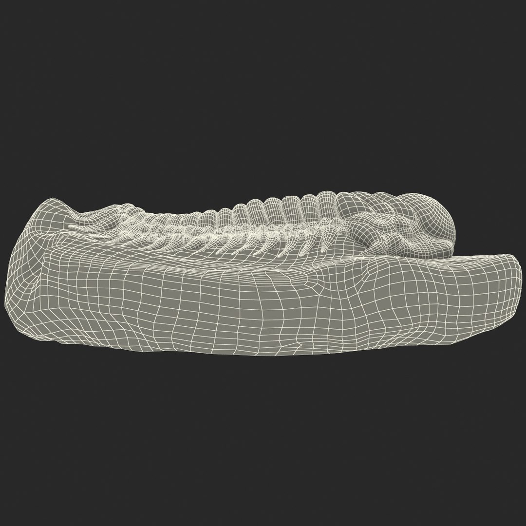 trilobite fossil 3d model https://p.turbosquid.com/ts-thumb/Kl/F6VoDb/4CS0VAth/trilobitefossil_170/jpg/1390851342/1920x1080/fit_q87/8f5b54078ed09633346e2d98730a53fee462e6d3/trilobitefossil_170.jpg