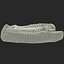 Trilobite Fossil