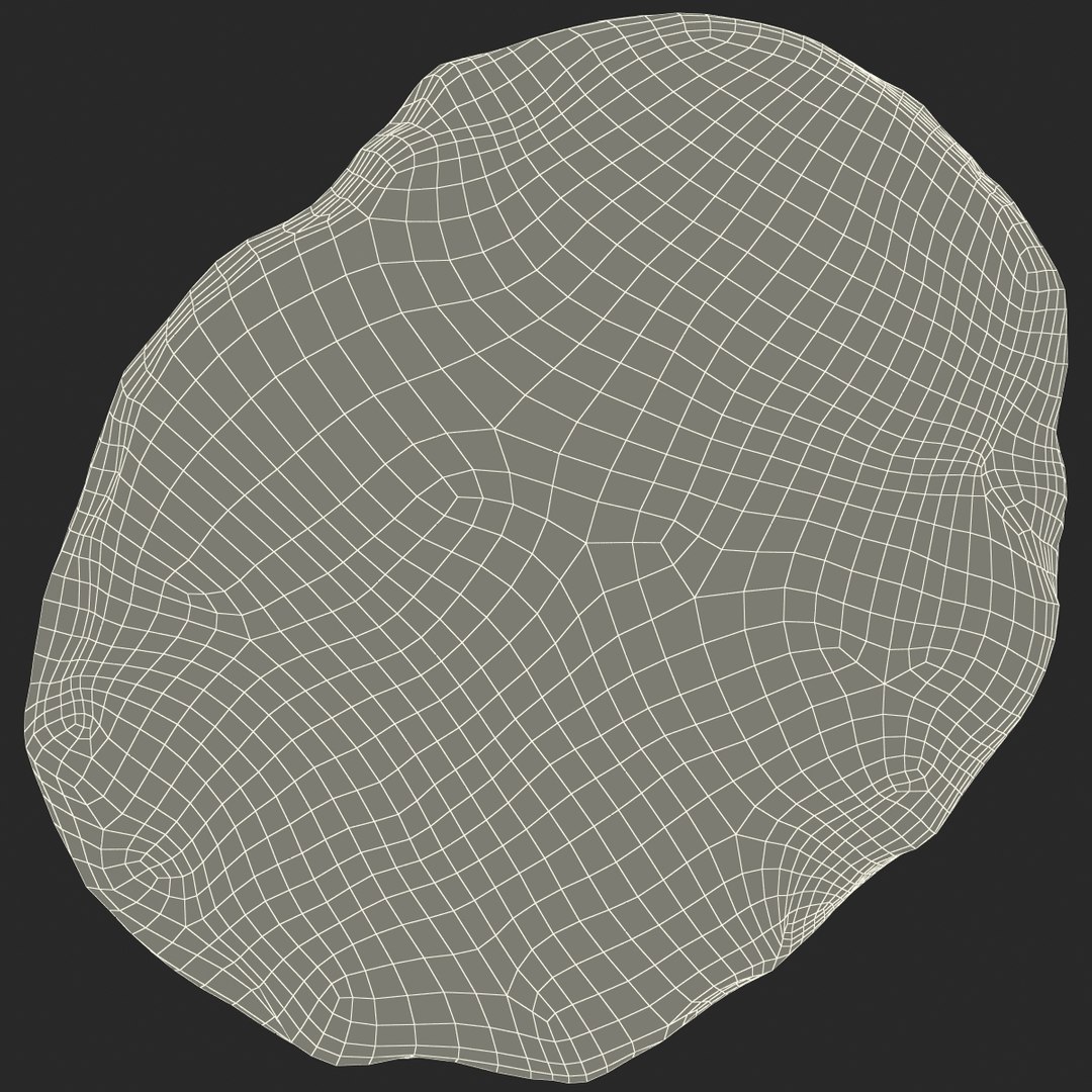 trilobite fossil 3d model https://p.turbosquid.com/ts-thumb/Kl/F6VoDb/5IuPo89B/trilobitefossil_172/jpg/1390851351/1920x1080/fit_q87/73cebdbc09fad6103e913806c4d3a4b6c56a29f2/trilobitefossil_172.jpg