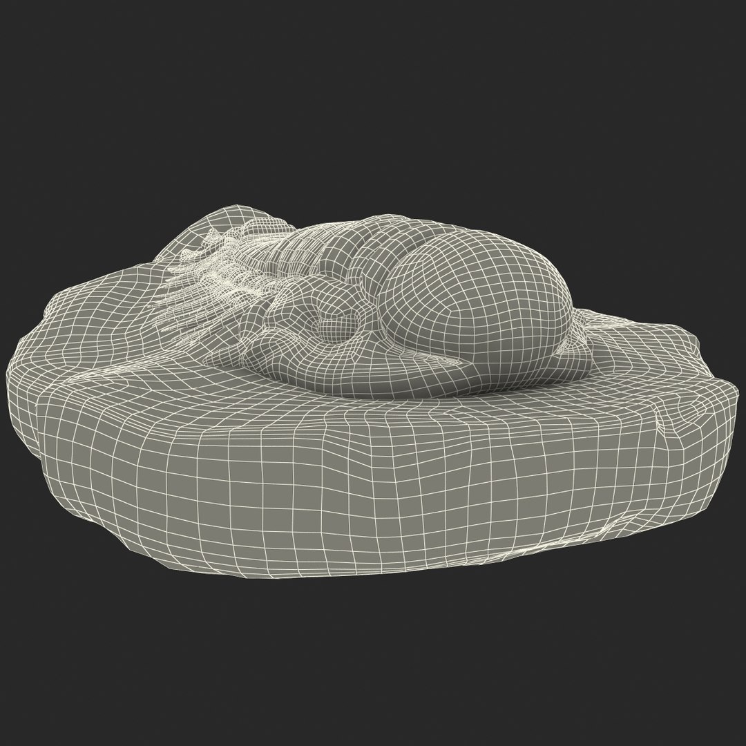 trilobite fossil 3d model https://p.turbosquid.com/ts-thumb/Kl/F6VoDb/AWpWc3sT/trilobitefossil_174/jpg/1390851358/1920x1080/fit_q87/0611976d47d5175efa6cc3513085325046fe892c/trilobitefossil_174.jpg