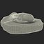 Trilobite Fossil