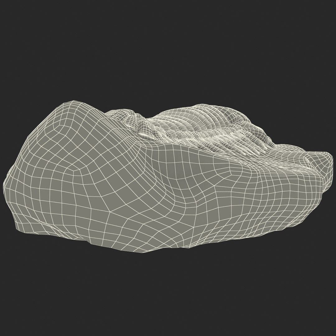 trilobite fossil 3d model https://p.turbosquid.com/ts-thumb/Kl/F6VoDb/GDyNLayn/trilobitefossil_177/jpg/1390851370/1920x1080/fit_q87/a77d1a8ff4ecdbb125d66f856c66042fa12af06a/trilobitefossil_177.jpg