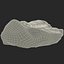 Trilobite Fossil