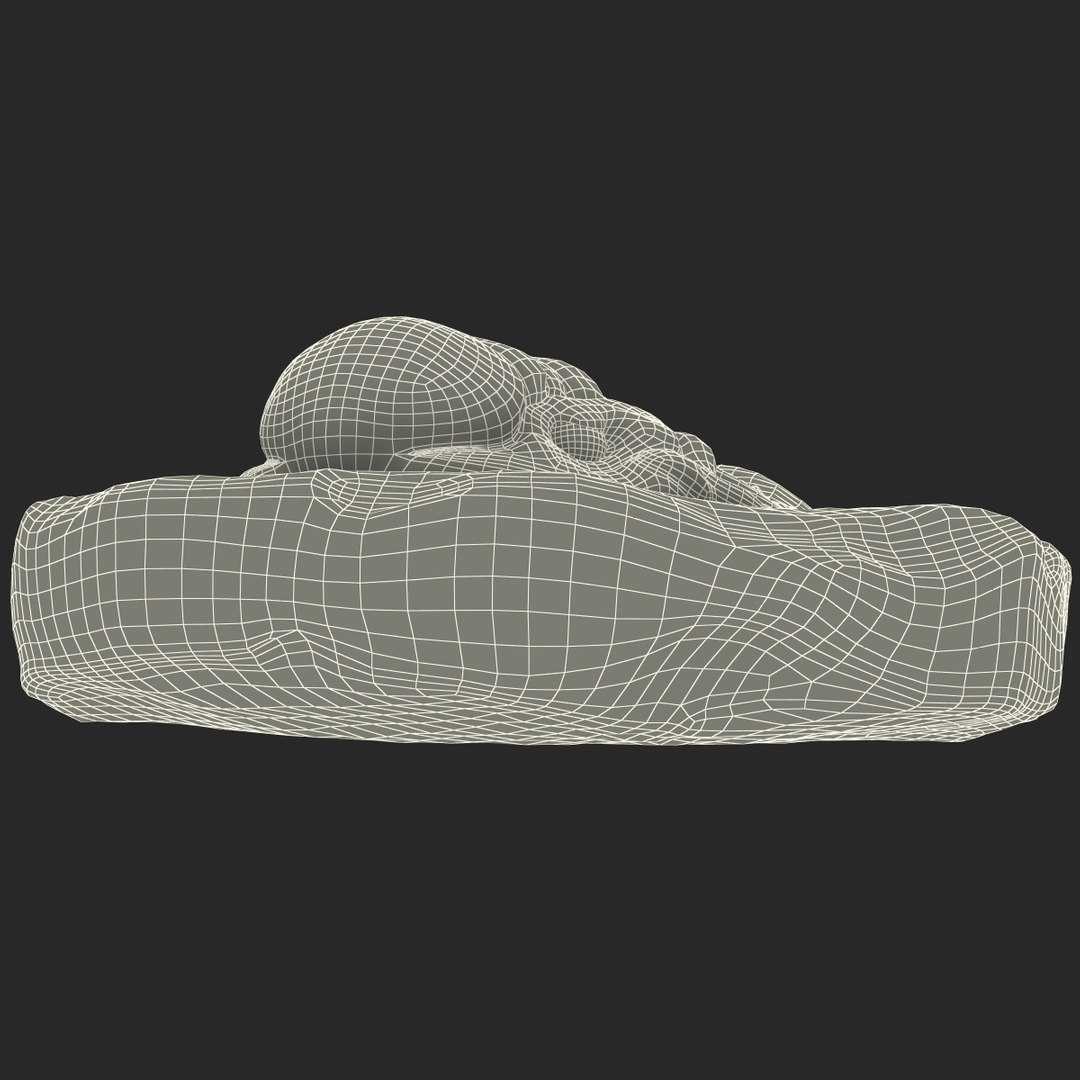 trilobite fossil 3d model https://p.turbosquid.com/ts-thumb/Kl/F6VoDb/GWPUyFdz/trilobitefossil_175/jpg/1390851362/1920x1080/fit_q87/c17d0bb95e8749e130f75b1d9c4014d5cc2f1172/trilobitefossil_175.jpg