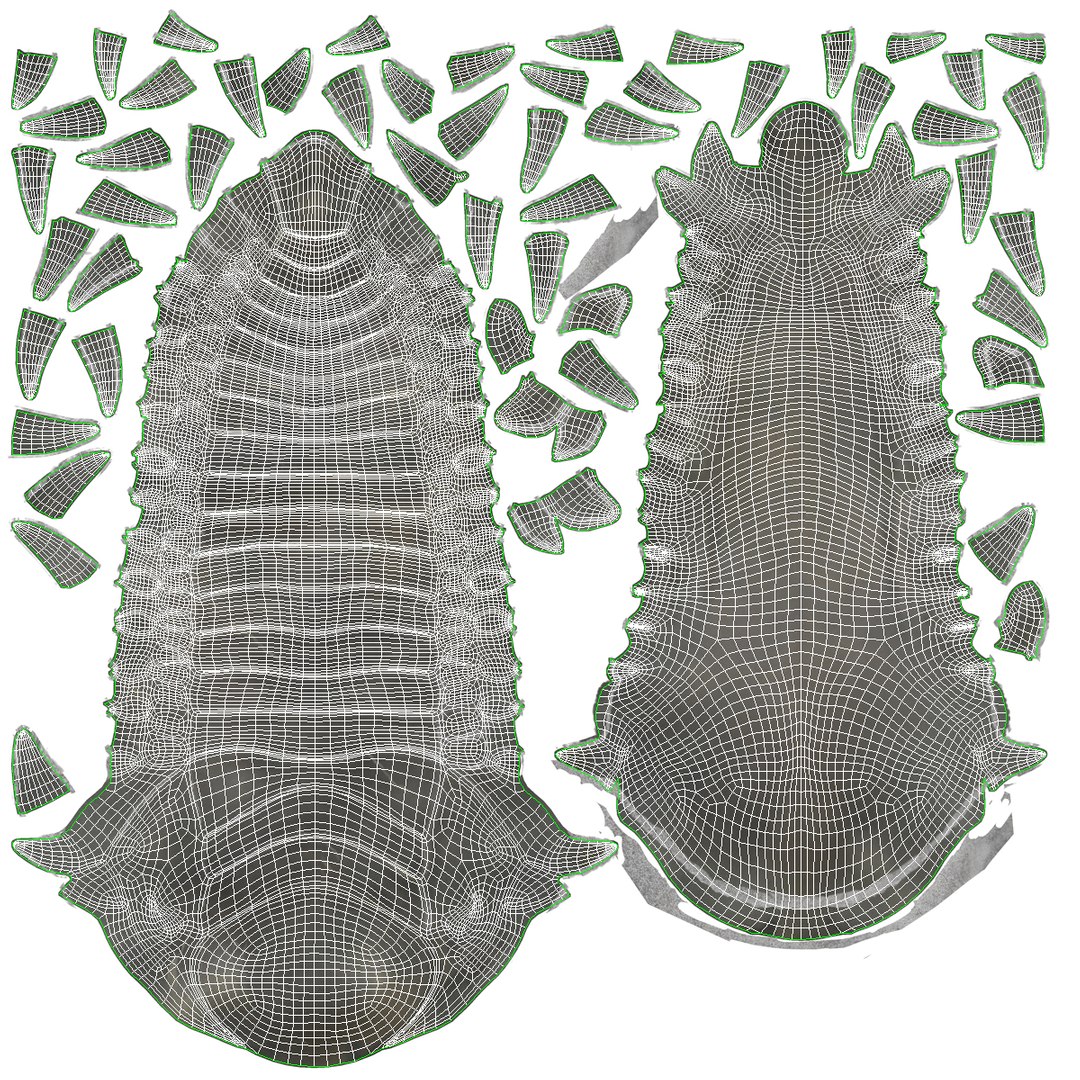 trilobite fossil 3d model https://p.turbosquid.com/ts-thumb/Kl/F6VoDb/ICBycznD/trilobitefossil_3/jpg/1390850711/1920x1080/fit_q87/6da1d7447255d43a40ccde17baf73b5c3b4f08ec/trilobitefossil_3.jpg