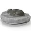 Trilobite Fossil