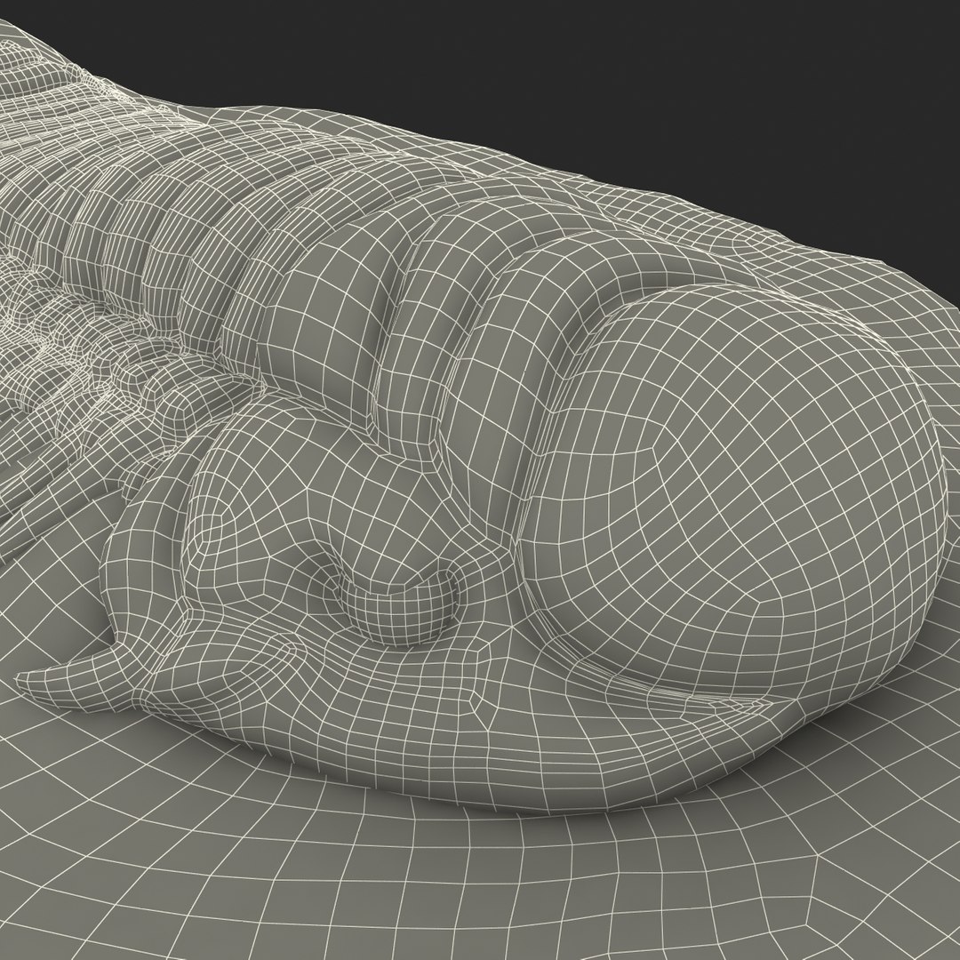 trilobite fossil 3d model https://p.turbosquid.com/ts-thumb/Kl/F6VoDb/PC4S7qsg/trilobitefossil_180/jpg/1390851382/1920x1080/fit_q87/8512c62ecdeb79c9aacd776b60744c7e0bd9c831/trilobitefossil_180.jpg