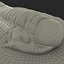 Trilobite Fossil