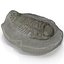 Trilobite Fossil