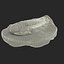 Trilobite Fossil
