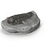 Trilobite Fossil