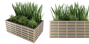 3D Collection plant vol 132 - blender model