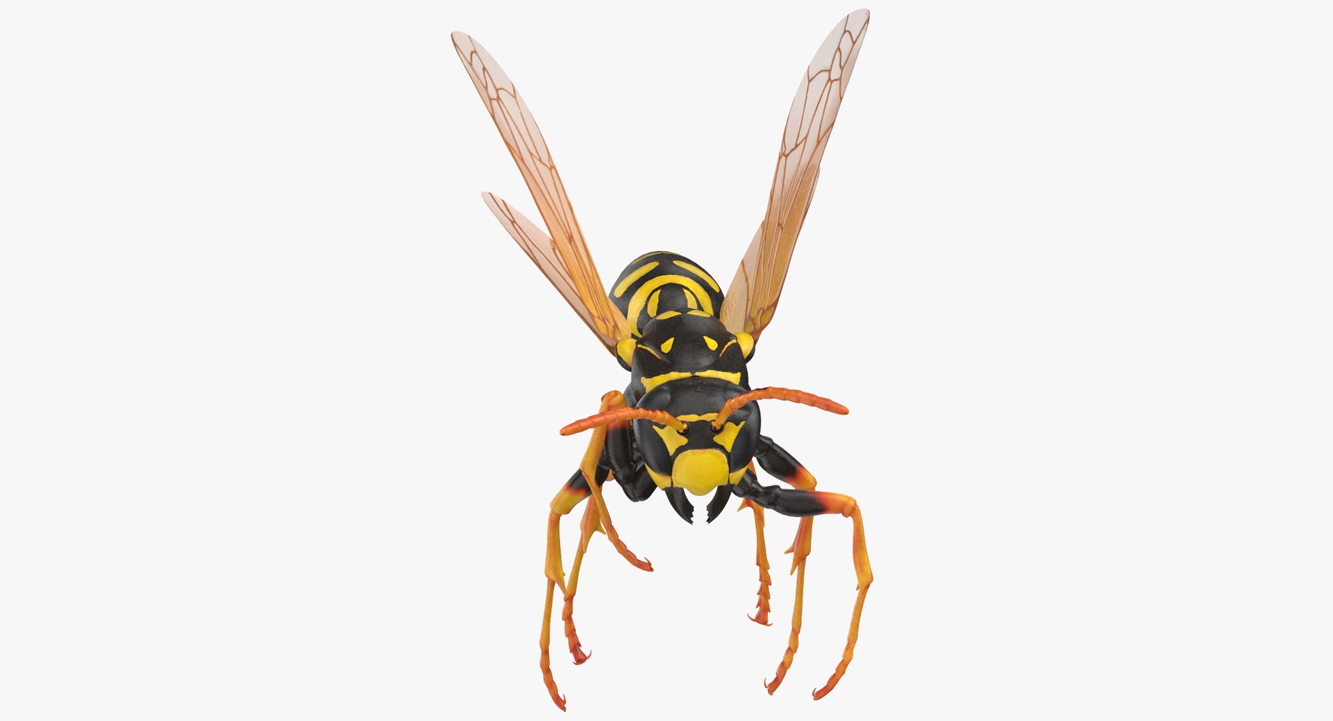 Paper wasp rigged 3D model - TurboSquid 1367389