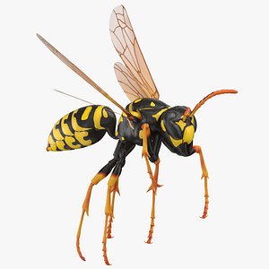 paper wasp rigged 3D model