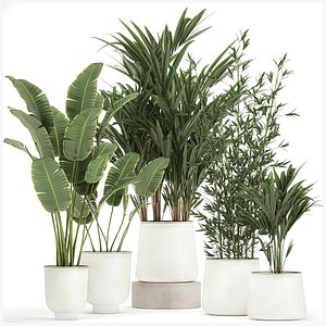 3D Plants in a metal flowerpot for the interior 1087