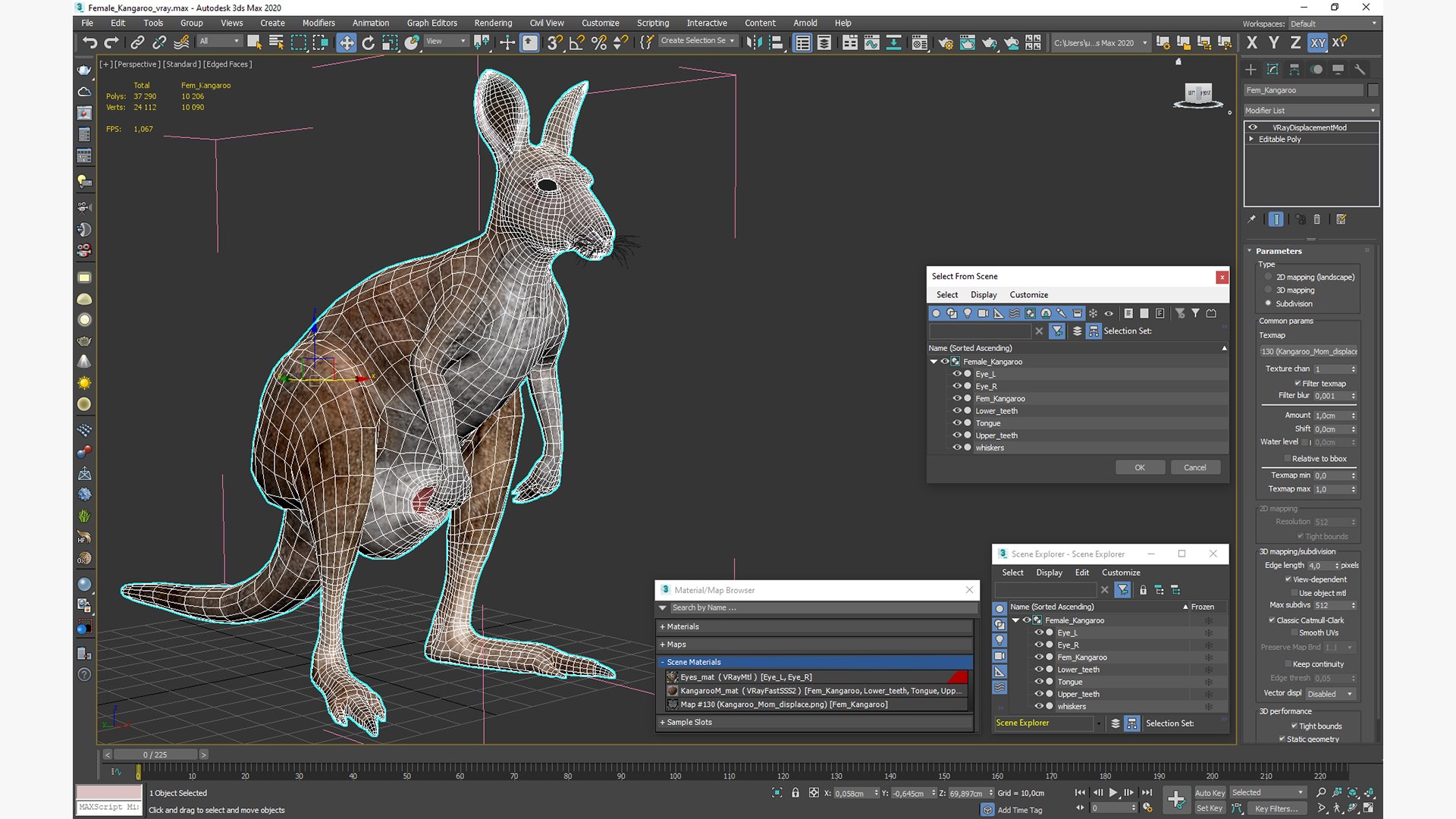 3D Female Kangaroo https://p.turbosquid.com/ts-thumb/Kl/Xo1Y5L/IC/femalekangaroo3dmodel023/jpg/1719996557/1920x1080/fit_q87/78ee0b5e955188e89032989f6414bdb7806e27d2/femalekangaroo3dmodel023.jpg