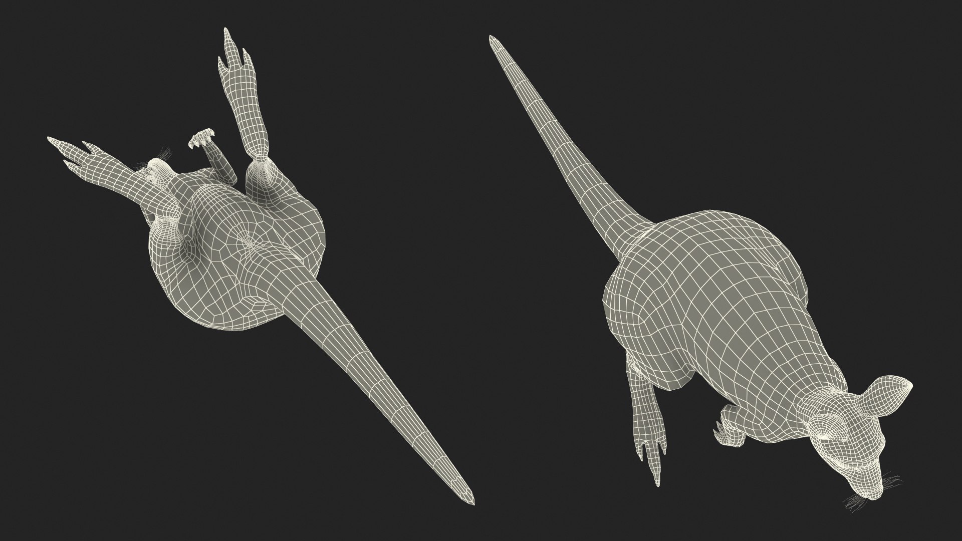 3D Female Kangaroo https://p.turbosquid.com/ts-thumb/Kl/Xo1Y5L/Pa/femalekangaroo3dmodel029/jpg/1719996581/1920x1080/fit_q87/48915379e12f93b9576c08fcf1d94271301f6482/femalekangaroo3dmodel029.jpg