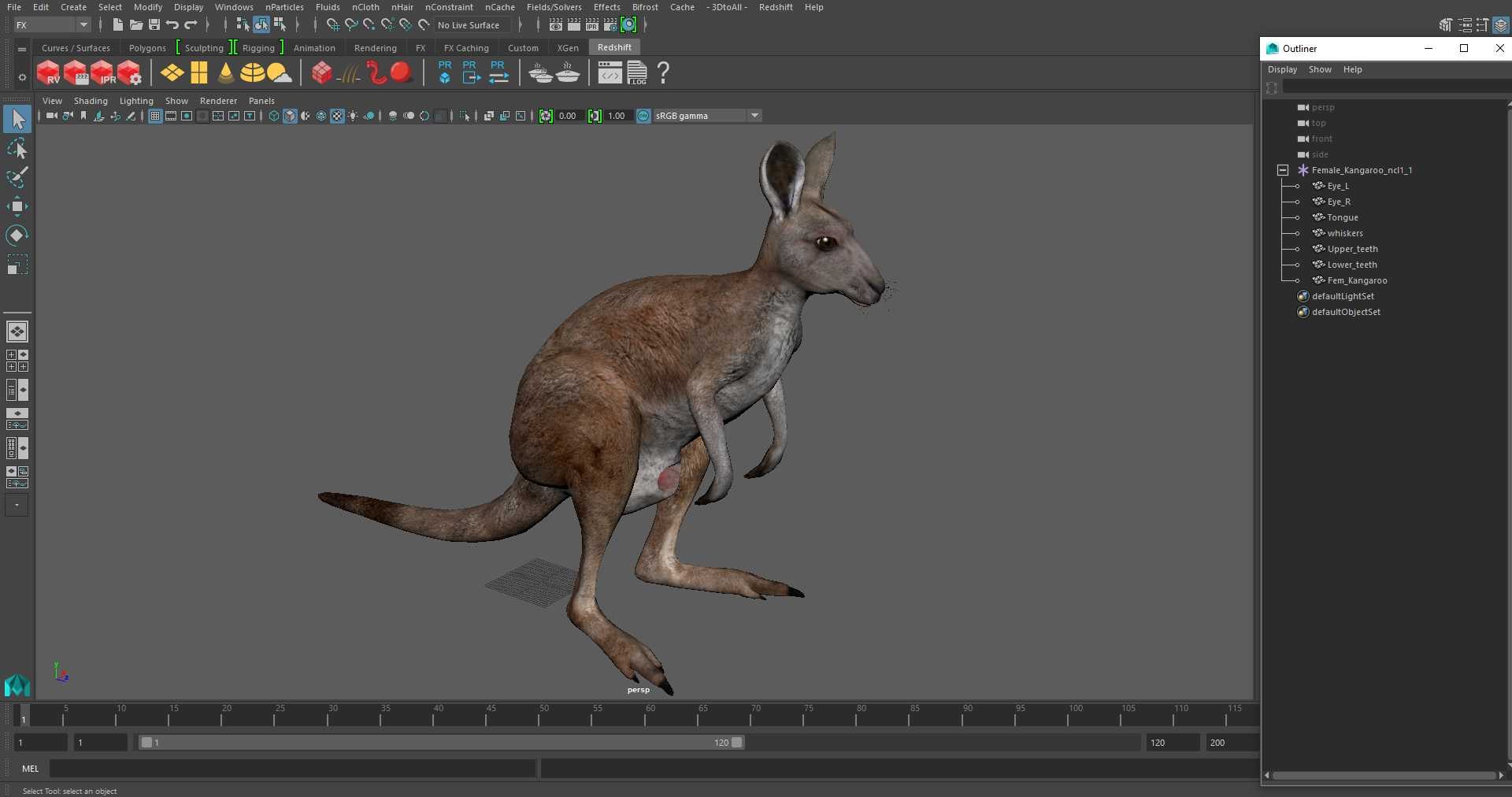 3D Female Kangaroo https://p.turbosquid.com/ts-thumb/Kl/Xo1Y5L/Xk/femalekangaroo3dmodel027/jpg/1719996572/1920x1080/fit_q87/7996471d2cd1fa27d14fafb42b6332ee0fa6e3e7/femalekangaroo3dmodel027.jpg