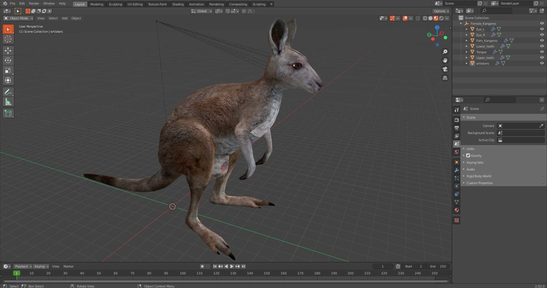 3D Female Kangaroo https://p.turbosquid.com/ts-thumb/Kl/Xo1Y5L/lg/femalekangaroo3dmodel024/jpg/1719996560/1920x1080/fit_q87/7c7032663d25dbdbef3f89d46de1319185116183/femalekangaroo3dmodel024.jpg
