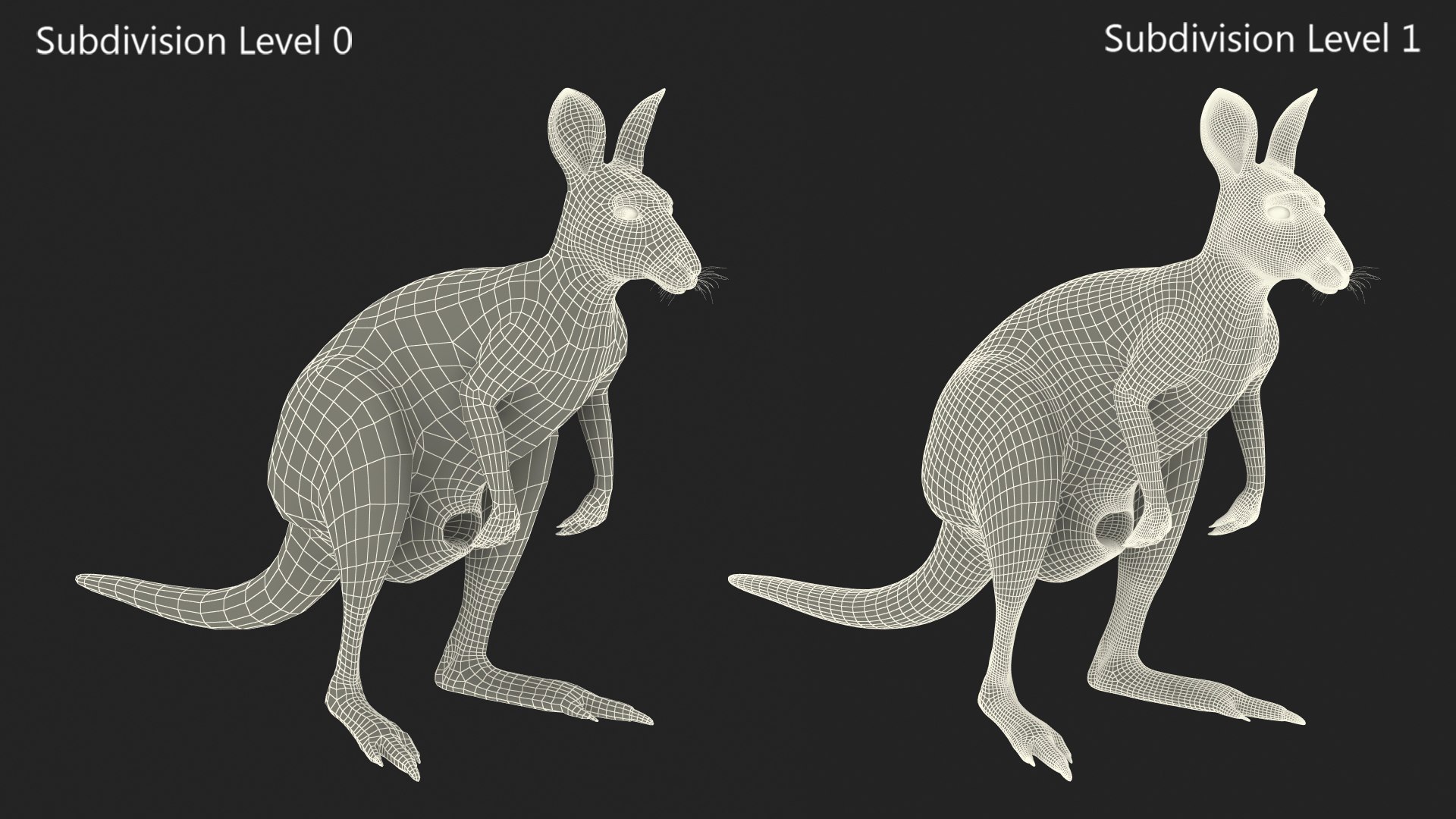 3D Female Kangaroo https://p.turbosquid.com/ts-thumb/Kl/Xo1Y5L/qK/femalekangaroo3dmodel020/jpg/1719996541/1920x1080/fit_q87/52b28ba4b6234e21199eeceba4f6c08fe9d6c03a/femalekangaroo3dmodel020.jpg