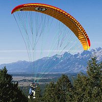 Paraglider