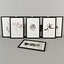 Marine Flora Pressings Art