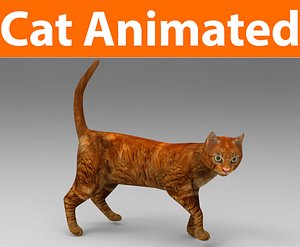 cat animated